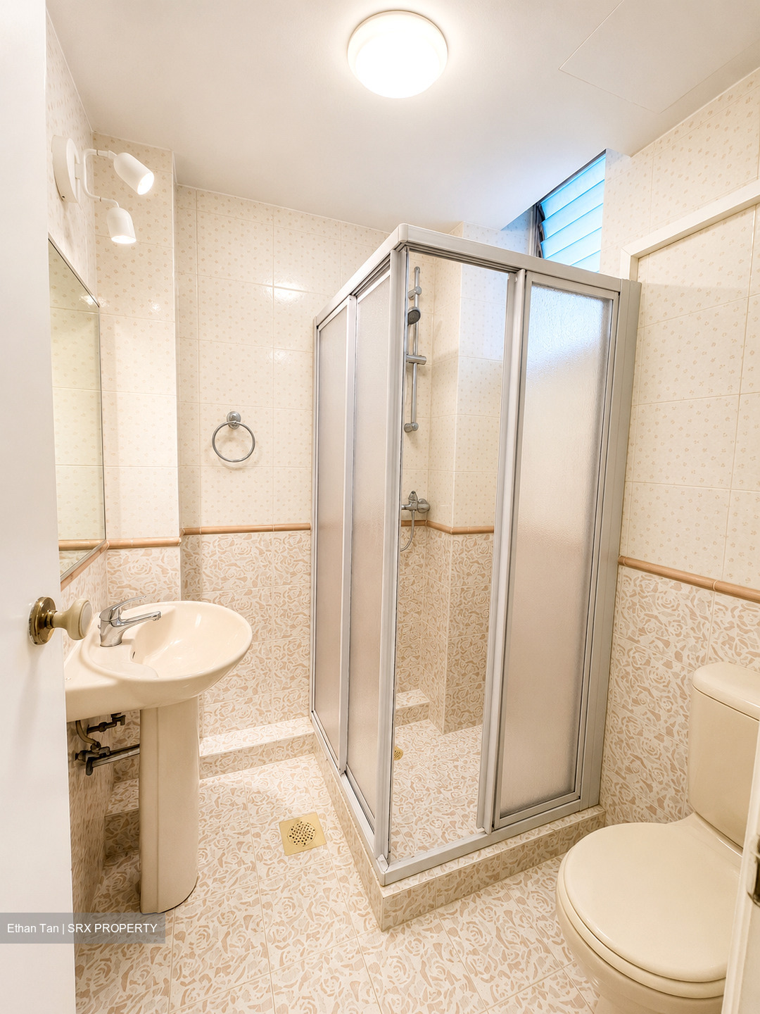 Chancery Grove (D11), Condominium #570890181